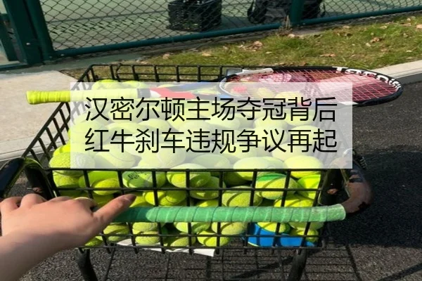 汉密尔顿主场夺冠背后 红牛刹车违规争议再起