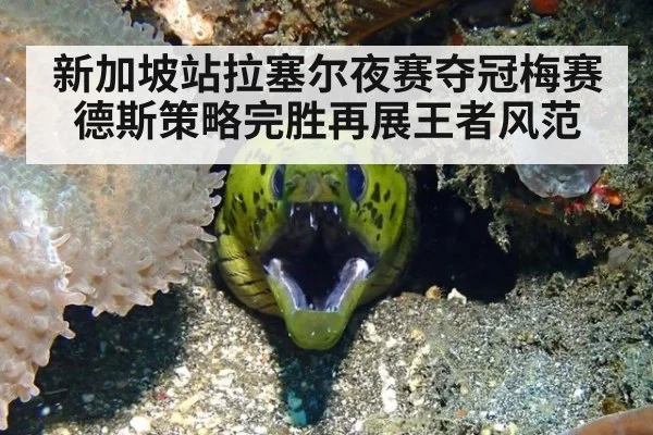 新加坡站拉塞尔夜赛夺冠梅赛德斯策略完胜再展王者风范