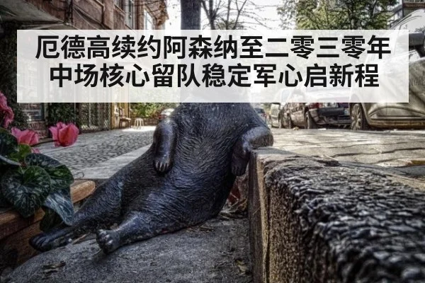 厄德高续约阿森纳至二零三零年 中场核心留队稳定军心启新程